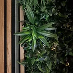 公寓 Hakuna Matata - Clim, Plages, Palais
