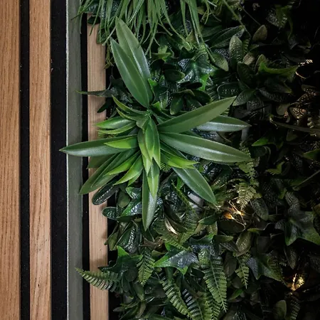 Hakuna Matata - Clim, Plages, Palais *